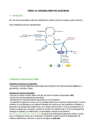 2-parcial-bioquimica.pdf