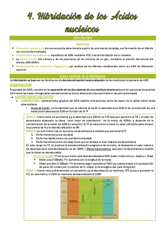 Hibridacion-de-los-Acidos-nucleicos-4.pdf