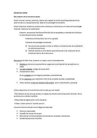 Tema-1-Estructura-social.pdf