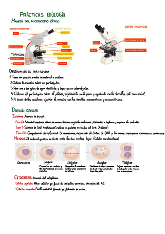 Practicas-De-Biologia.pdf