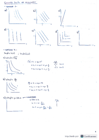 ejercicios-teoria-del-consumidor.pdf