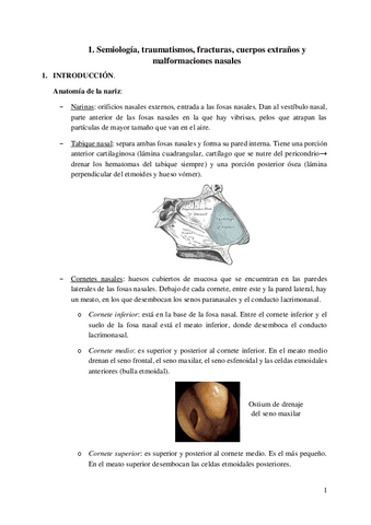 1.-Semiologia-traumatismos-fracturas-cuerpos-extranos-y-malformaciones-nasales.pdf