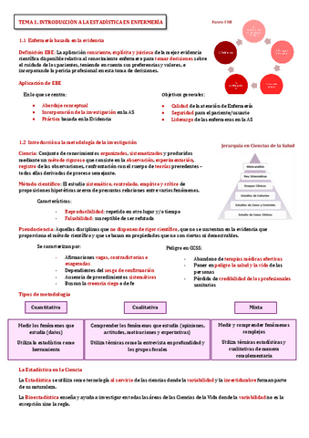 Temas-Estadistica.pdf