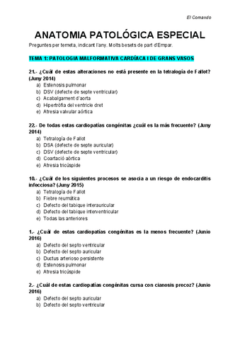 Seleccio-preguntes-APE.pdf