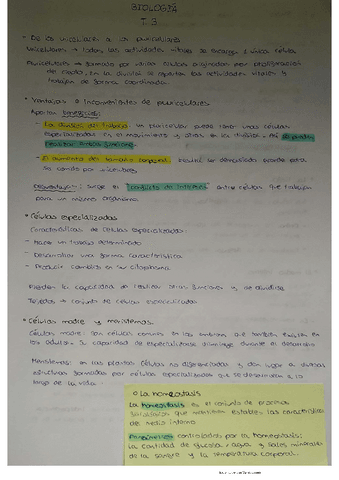 bio-T.3.pdf