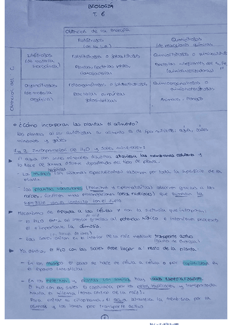 bio-T.6.pdf
