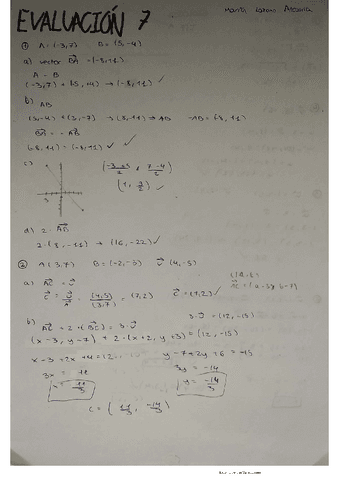 mate-vectores-y-ejercicio-de-la-recta.pdf