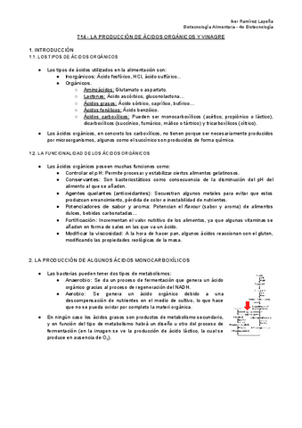 T14-BTAL-La-Produccion-de-Acidos-Organicos-y-Vinagre.pdf