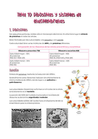 biologia-tema-10.pdf