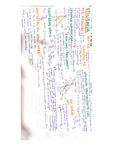 Apuntes-eco-publica.pdf