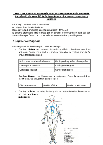Anatomia-Tema-2.pdf