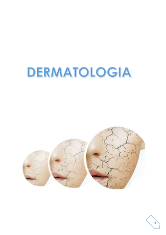 apunts-dermatologia.pdf