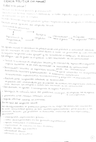 RESUMEN-CIENCIA-POLITICA-UN-MANUAL.pdf