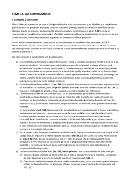 TEMA 13.pdf