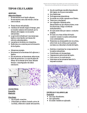 BIOCEL-Tipos-celulares.pdf
