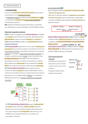 7-Acidos-nucleicos.pdf