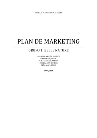 PLAN DE MARKETING G1.pdf