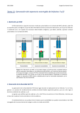 11. Generación del repertorio restringido de linfocitos Ta:b.pdf
