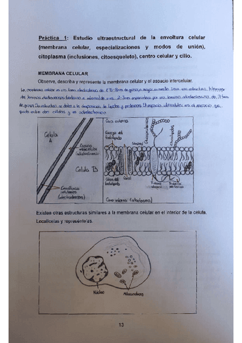 Practica-1-1oparcial.pdf
