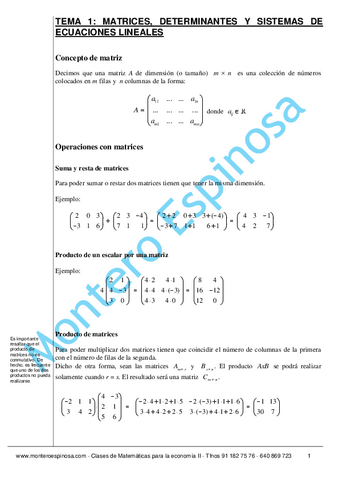 APUNTES-MATES-II.pdf