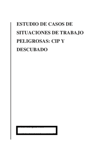 EstudioCIPdescubadosituaciones-de-trabajo-peligrosas.pdf