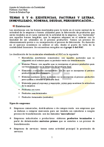 Teoria-Temas-5-y-6.pdf