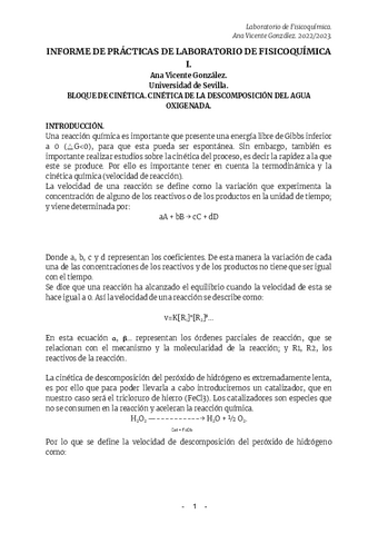 INFORME-DE-PRACTICA-1.pdf