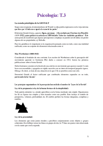 Psico-T.3.pdf