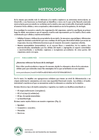 Apuntes-b-molecular.pdf