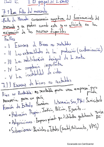 7.-El-papel-del-estado.pdf