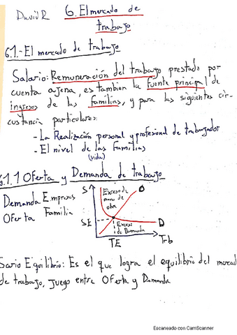 6.-Mercado-de-Trabajo.pdf