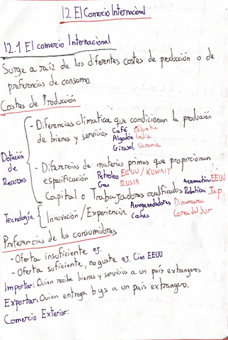 12.-Comercio-internacional.pdf