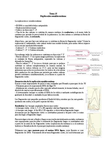 TEMA-15-BM.pdf