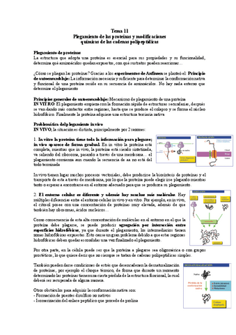 TEMA-11-BM.pdf