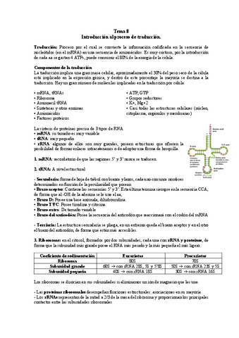 TEMA-8-BM.pdf
