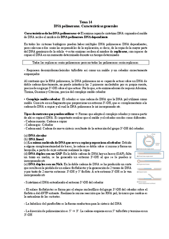 TEMA-14-BM.pdf