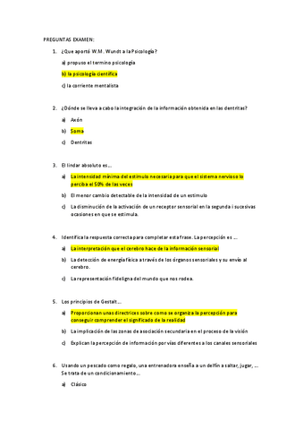 PREGUNTAS-EXAMEN.pdf