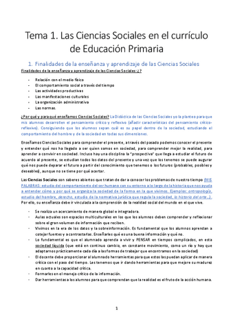 Resumen-didactica-sociales.pdf