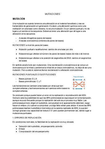 T.5-Mutaciones.pdf