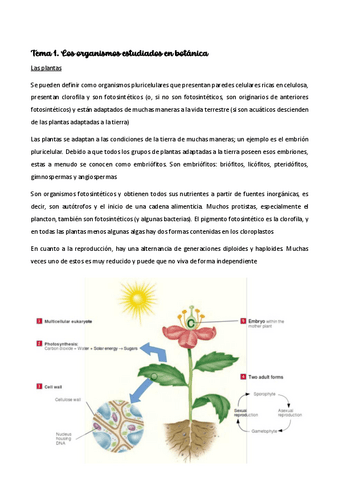 apuntes-Botanica.pdf
