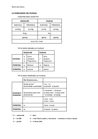 LA-FORMAZIONE-DEL-PLURALE.pdf