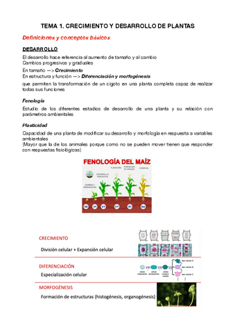 T1.-Crecimiento-y-desarrollo-de-las-plantas.pdf