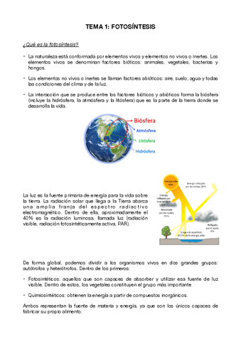 T1.-Fotosintesis.pdf