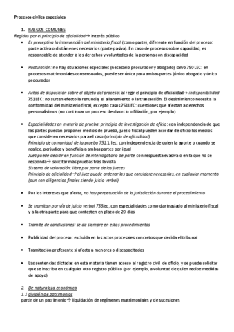 t13-Procesos-civiles-especiales.pdf