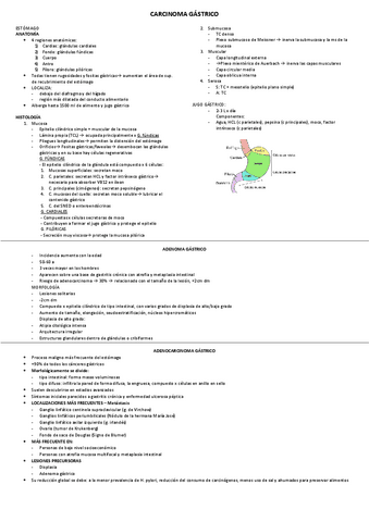 CARCINOMA GASTRICO.pdf