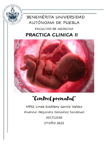 CONTROL-PRENATAL-1ER-3ER.pdf