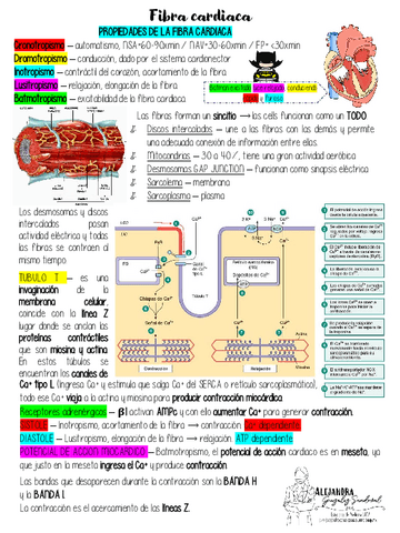 PROPIEDADES-DE-LA-FIBRA-CARDIACA.pdf