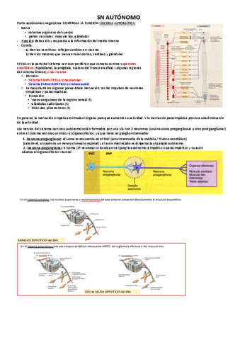 SN-AUTONOMO.pdf