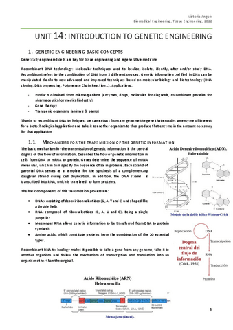 Chapter-4.pdf