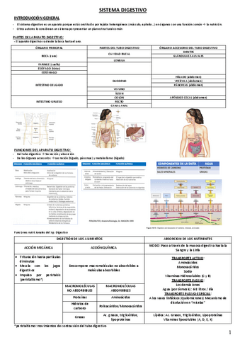 DIGESTIVO.pdf